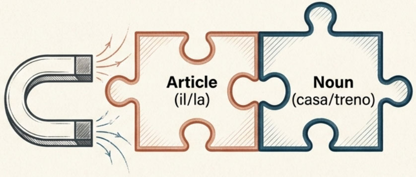 articoli e nomi in italiano easitalian.com